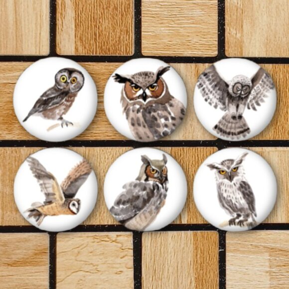 Watercolor Owl Fridge Magnets Set Of 6 Metal Magnets Home Office Kitchen School - Picture 1 of 6